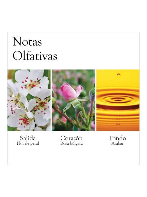 PERFUME ELIZABETH ARDEN WHITE TEA WILD ROSE EDT 100 ML - Image 4