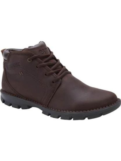 BOTA TRANSFORM CAFE CATERPILLAR - Image 2
