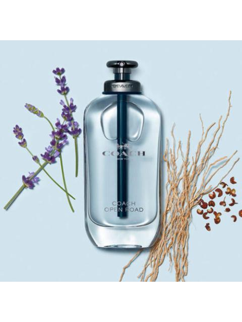 PERFUME COACH OPEN ROAD EDT 100ML HOMB - ML A - Image 4