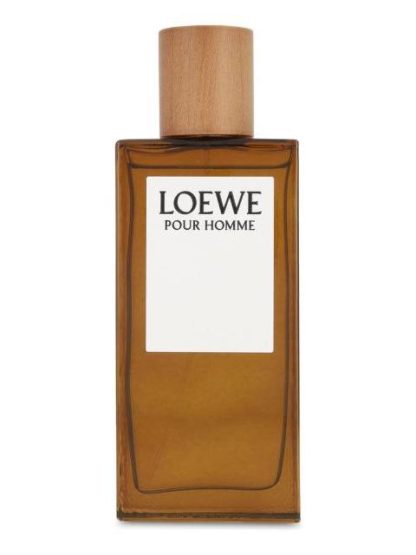 PERFUME HOMBRE LOEWE POUR HOMME EDT 100 ML - Image 2