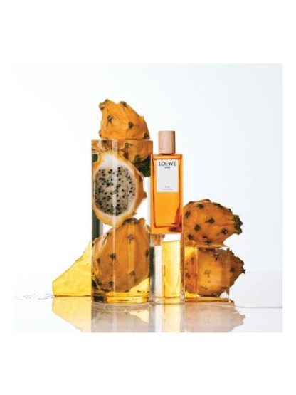 PERFUME SOLO ELLA DE LOEWE 100 ML EDT - Image 5