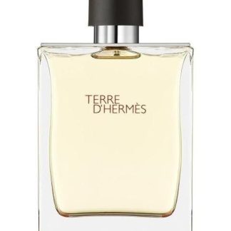 PERFUME TERRE DHERMES EAU DE TOILETTE 100ML PARA HOMBRE