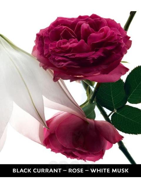 PERFUME YVES SAINT LAURENT MON PARIS INTENSEMENT 90ML EDP - Image 4