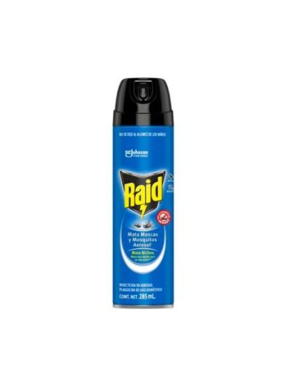 RAID MATABICHOS INSECTICIDA 285 ML