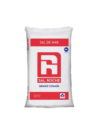 SAL GRANO COMUN ROCHE DESTINO ALIMENT (25 KG)