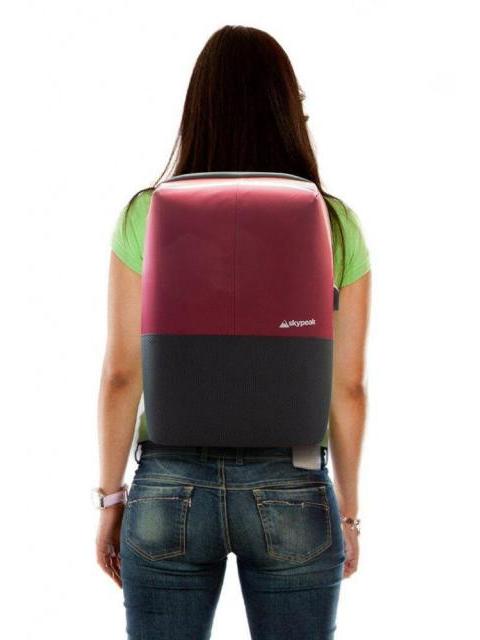SKYPEAK MOCHILA BTS-115 PARA LAPTOP 15.6 ROJO-NEGRO