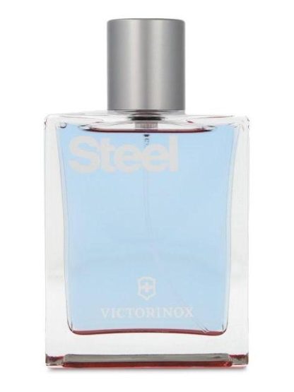 SWISS ARMY STEEL 100ML EDT SPRAY - Image 2