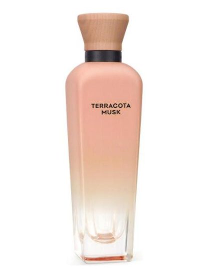TERRACOTA MUSK DAMA ADOLFO DOMINGUEZ 120 ML EDP SPRAY - Image 2