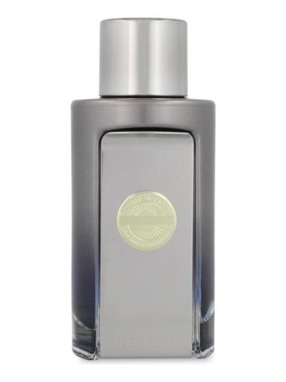 THE ICON ELIXIR 100ML EDP SPRAY - CABALLERO - Image 2