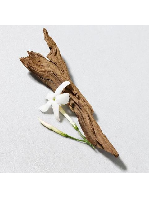 ACQUA DI GIO HOMME EDT 100 ML HOMBRE - Image 5