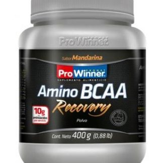 AMINO BCAA RECOVERY SAB MANDARINA 400 G PROWINNER