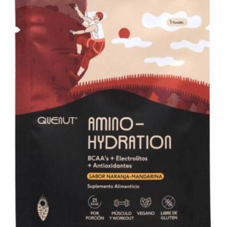 AMINO HYDRATION NARANJA MANDARINA 10 G QUENUT P 12