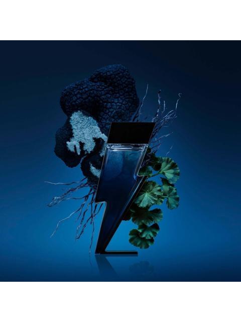 bad_boy_cobalt_100ml_edp_spray_caballero_2_189044