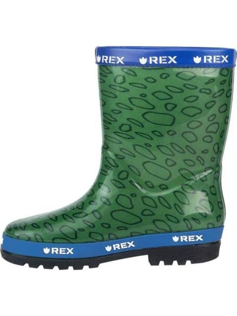 BOTA DE LLUVIA REX VERDE TOY STORY - Image 5