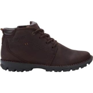 BOTA TRANSFORM CAFE CATERPILLAR