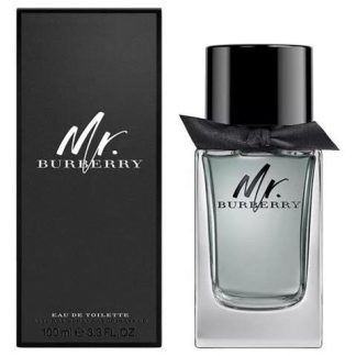 BURBERRY MR. BURBERRY 100ML EDT