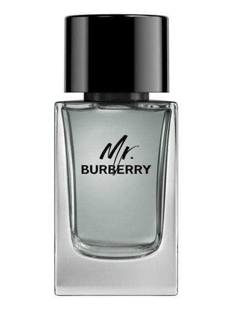 burberry_mr_burberry_100ml_edt_2_179990