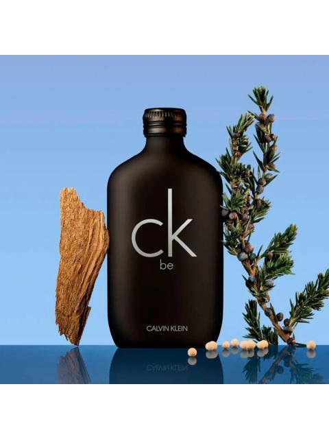 PERFUME CALVIN KLEIN BE EAU DE TOILETTE 200ML - Image 6