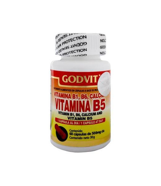 CAPS. VITAMINA B1 B5 B6 Y CALCIO C 60 GODVIT GN+VIDA