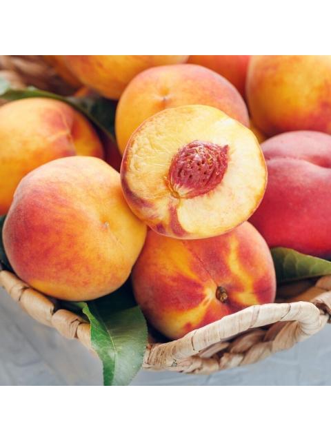 CHARLIE RED 100 ML EAU DE TOILETTE SPRAY DE REVLON - Image 8