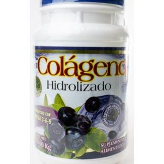 COLAGENO HIDROLIZADO SAB BLUEBERRY 1100 G YPENZA