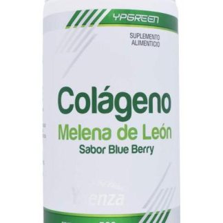 COLAGENO MELENA DE LEON BLUE BERRY 500 G YPGREEN