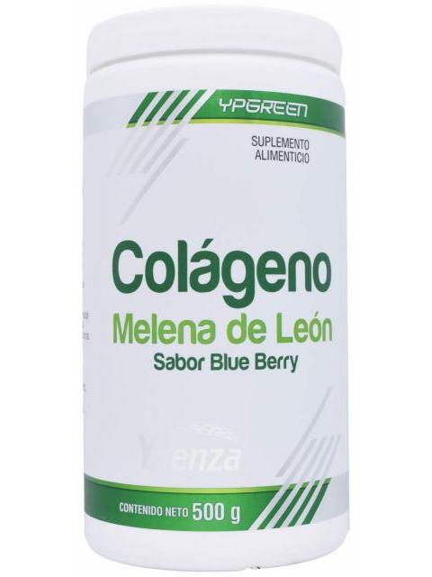 COLAGENO MELENA DE LEON BLUE BERRY 500 G YPGREEN