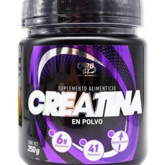 CREATINA 250 G PROTGT