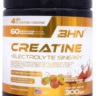 CREATINE ELECTROLYTE SINERGY CITRICOS 300 G BHN