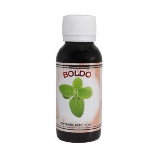 EXT. BOLDO 70ML NUTRY SALUD