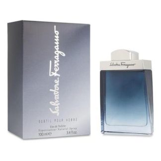FERRAGAMO SUBTIL 100ML EDT SPRAY - CABALLERO