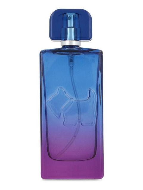 FERRIONI SUNSET VIVES BOMBAY FOR MEN 100ML EDT GENERO MUJER - Image 3