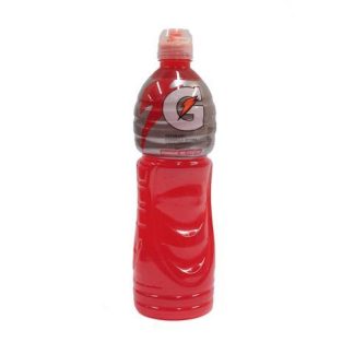 GATORADE BEBIDA REHIDRATANTE PONCHE DE FRUTAS 1 LT