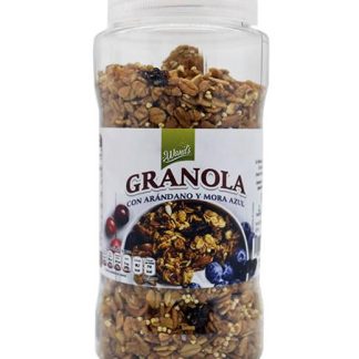 GRANOLA CON ARANDANO Y MORA AZUL 300 G WANDS