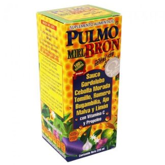 JARABE PULMO MIEL-BRON 220 ML. MIEL DE ABEJASAUCOGORDOLOBOCEBOLLA GRUPO OMEGA 2000
