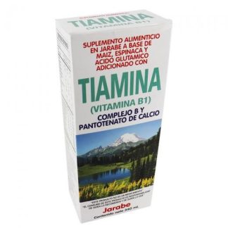 JARABE TIAMINA 340 ML (VITAMINA B1) COMPLEJO B Y PANTOTENATO DE C GN+VIDA