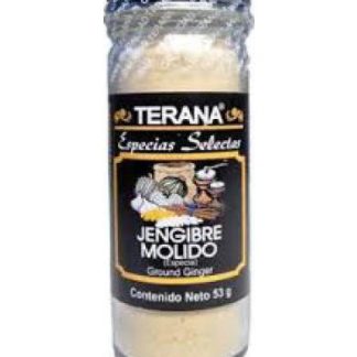 JENGIBRE 53 G TERANA