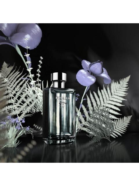 LHOMME EDT 150ML PARA HOMBRE - Image 4