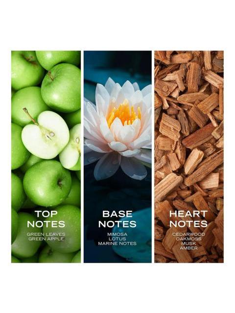 NAUTICA VOYAGE EAU DE TOILETTE 200 ML PARA HOMBRE - Image 5