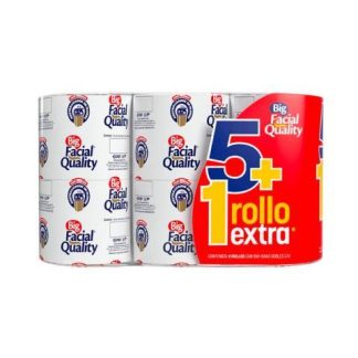 PAPEL HIGIENICO BIG QUALITY 550 HD 5 PZ