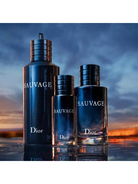 PARFUM DIOR SAUVAGE VAPORISATEUR SPRAY 100ML HOMBRE AROMATICO - Image 6