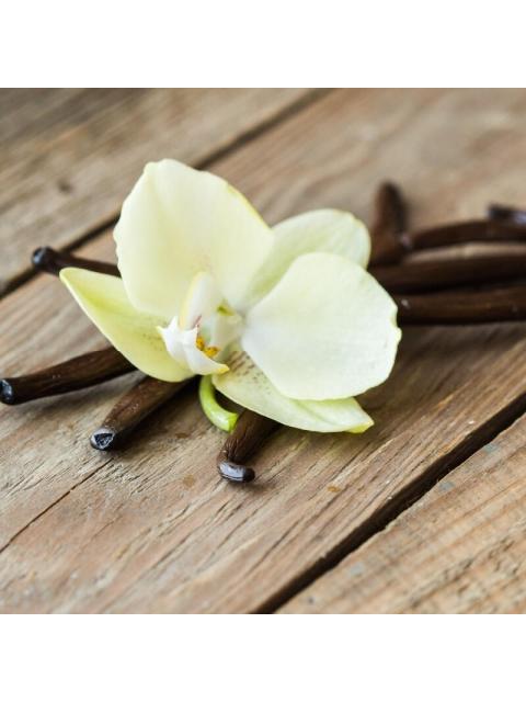 PERFUME DOLCE & GABBANA THE ONE MUJER 75 ML EDP ORIENTAL FLORAL SPRAY - Image 6