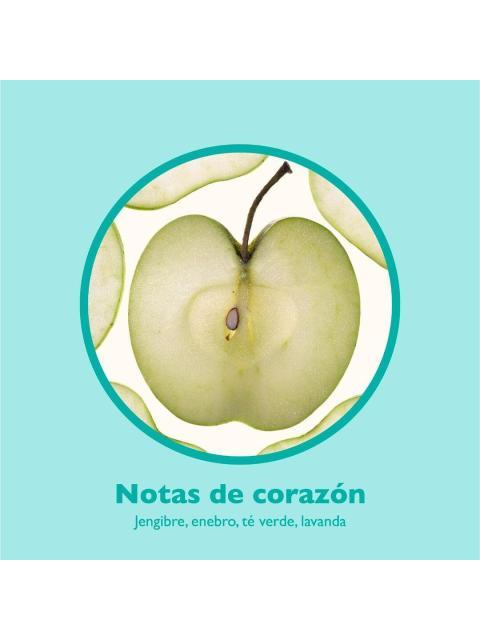 PERFUME FOREVER GREEN UNITED DREAMS BENETTON PARA ELLA 80 ML - Image 3