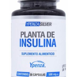 PLANTA DE INSULINA 30 CAP YPENZA SILVER