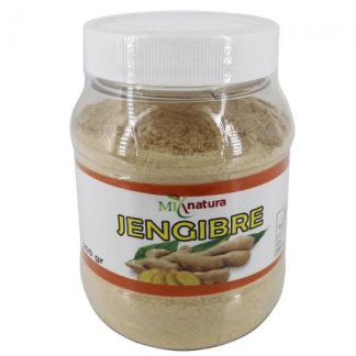 POLVO JENJIBRE 200 GRS MIX NATURA