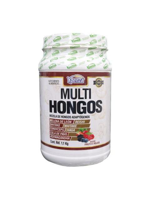 POLVO MULTI HONGOS SABOR FRUTOS ROJOS 1.100KG MEZCLA DE HONGOS AD SOLO PARA DIABETICOS