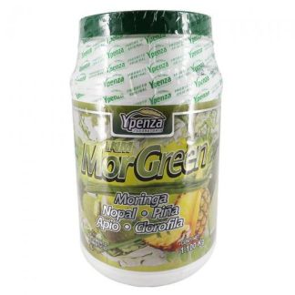 POLVO PARA PREPARAR BEBIDA DE MORINGA MORGREEN 1.100 KG MORINGA N SOLO PARA DIABETICOS