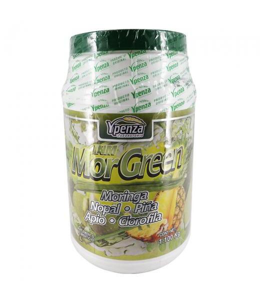 POLVO PARA PREPARAR BEBIDA DE MORINGA MORGREEN 1.100 KG MORINGA N SOLO PARA DIABETICOS