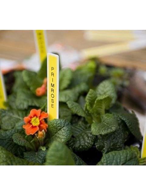 BROTHER ROTULADOR PT-D210 TRANSFERENCIA TERMICA 180 X 180DPI GRIS-BLANCO - Image 5