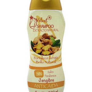 SHAMPOO JENGIBRE 500 ML VELVET